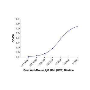 Goat Anti-Mouse IgG H&L (HRP),Goat Anti-Mouse IgG H&L (HRP)