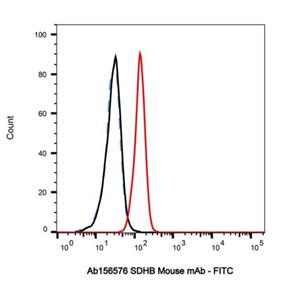 SDHB Mouse mAb,SDHB Mouse mAb