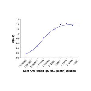 Goat Anti-Rabbit IgG H&L (Biotin),Goat Anti-Rabbit IgG H&L (Biotin)