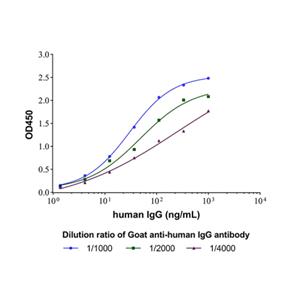 Goat Anti-Human IgG Antibody,Goat Anti-Human IgG Antibody