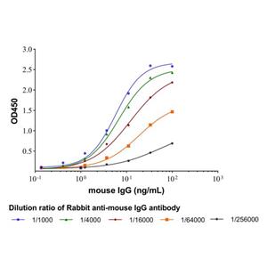 Rabbit anti-mouse IgG antibody,Rabbit anti-mouse IgG antibody