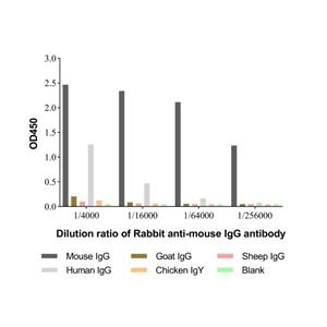 Rabbit anti-mouse IgG antibody,Rabbit anti-mouse IgG antibody