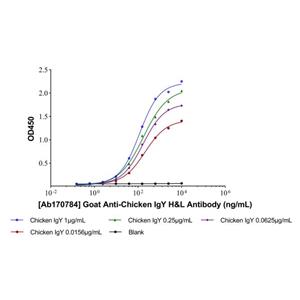 Goat Anti-Chicken IgY H&L Antibody,Goat Anti-Chicken IgY H&L Antibody