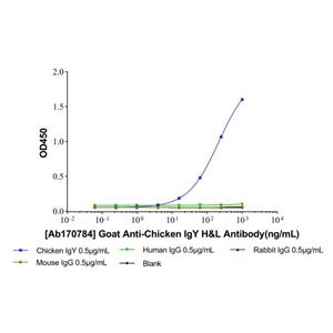 Goat Anti-Chicken IgY H&L Antibody,Goat Anti-Chicken IgY H&L Antibody