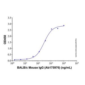 aladdin 阿拉丁 Ab175976 BALB/c Mouse IgG ≥ 95%; Isotype Control Antibody; BALB/c Mouse IgG; Unconjugated
