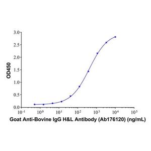 Goat Anti-Bovine IgG H&L Antibody,Goat Anti-Bovine IgG H&L Antibody