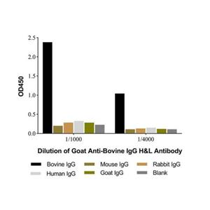 Goat Anti-Bovine IgG H&L Antibody,Goat Anti-Bovine IgG H&L Antibody