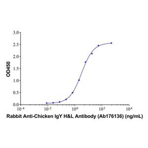 Rabbit Anti-Chicken IgY H&L Antibody,Rabbit Anti-Chicken IgY H&L Antibody