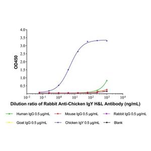 Rabbit Anti-Chicken IgY H&L Antibody,Rabbit Anti-Chicken IgY H&L Antibody