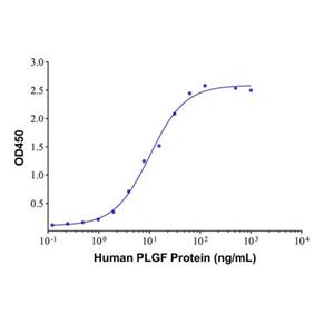 PLGF Mouse mAb,PLGF Mouse mAb