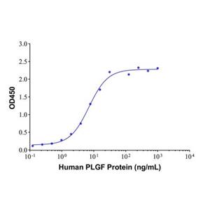 PLGF Mouse mAb,PLGF Mouse mAb