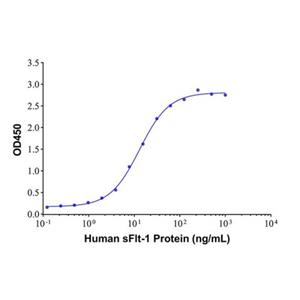 sFlt-1 Mouse mAb,sFlt-1 Mouse mAb