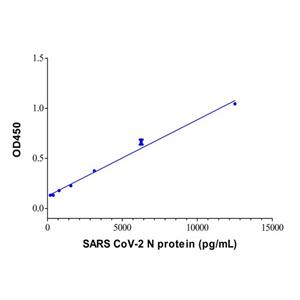 SARS CoV-2 N protein Mouse mAb,SARS CoV-2 N protein Mouse mAb