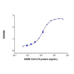 SARS CoV-2 N protein Mouse mAb,SARS CoV-2 N protein Mouse mAb