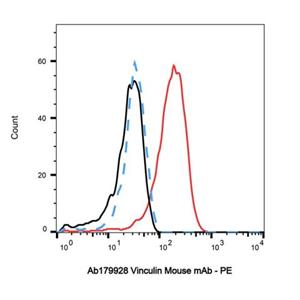 Vinculin Mouse mAb,Vinculin Mouse mAb