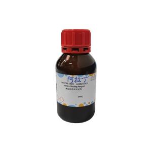 蛋白印迹封闭试剂,Western Blocking Reagent