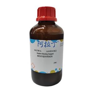 蛋白印迹封闭试剂,Western Blocking Reagent