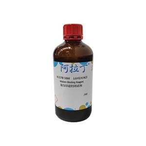 蛋白印迹封闭试剂,Western Blocking Reagent