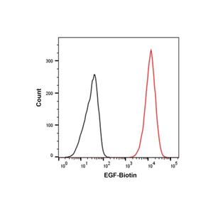 aladdin 阿拉丁 rp170191 Recombinant Human EGF Protein (Biotin) EGF-Biotin, Active, Pichia pastoris, No tag, 971-1021 aa