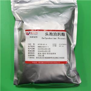 頭孢泊肟酯,Cefpodoxime Proxetil