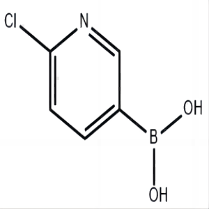 2-氯-5-吡啶硼酸,2-Chloropyridine-5-boronic acid