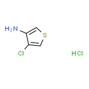 4-氯噻吩-3-胺盐酸盐