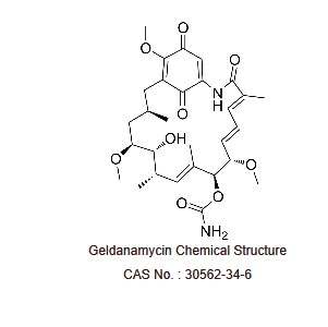 格尔德霉素,Geldanamycin