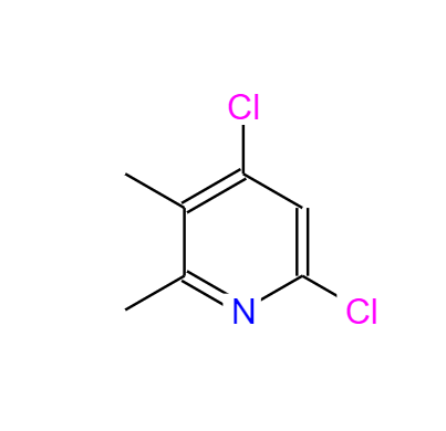 4,6-二氯-2,3-二甲基吡啶,4,6-dichloro-2,3-diMethylpyridine