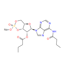 19436-29-4；Adenosine, N-(1-oxobutyl)-, cyclic 3',5'-(hydrogen phosphate) 2'-butanoate, sodium salt