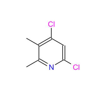 4,6-二氯-2,3-二甲基吡啶