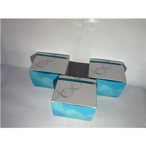 Cry1A（b/c）基因核酸检测试剂盒（PCR-荧光探针法）