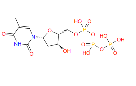 胸苷-5'-三磷酸,Thymidine-5'-Triphosphoric Acid