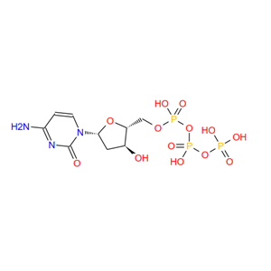 2056-98-6；2'-脱氧胞苷三磷酸