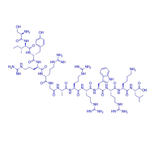 蛋白激酶抑制剂多肽SIYRRGARRWRKL/799764-07-1/PKCζ/ι pseudosubstrate inhibitor