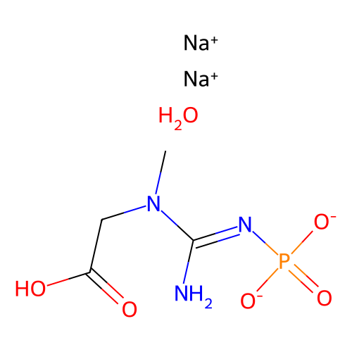 磷酸肌酸 二钠盐 水合物,Phosphocreatine disodium salt hydrate