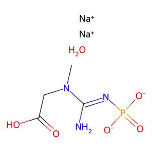 aladdin 阿拉丁 P168254 磷酸肌酸 二钠盐 水合物 922-32-7 97%