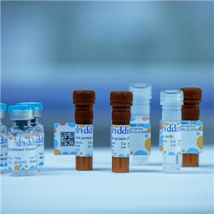 aladdin 阿拉丁 D598085 DL10000 DNA Marker 0.09 mg/mL