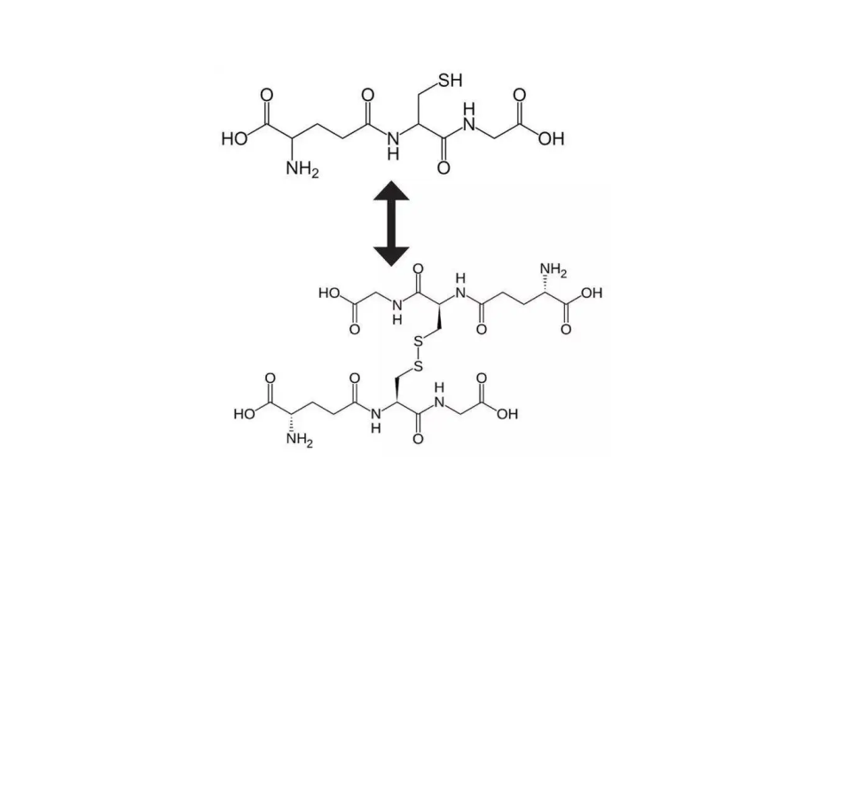 谷胱甘肽（氧化型）,Glutathiol