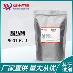脂肪酶-9001-62-1