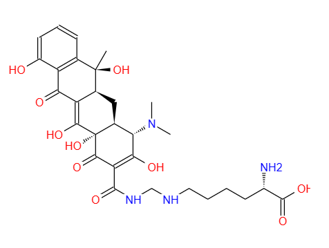 四環(huán)素亞甲賴(lài)氨酸,Lymecycline