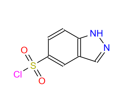 1H-吲唑-5-磺酰氯,1H-Indazole-5-sulfonyl chloride