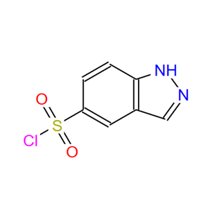 599183-35-4；1H-吲唑-5-磺酰氯