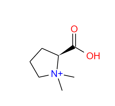 水苏碱,N,N-Dimethyl-L-proline