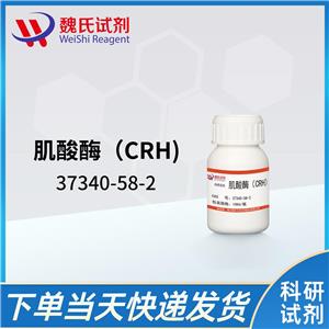 肌酸酶（CRH)—37340-58-2