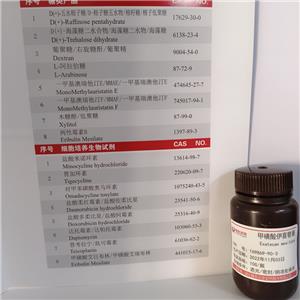 甲磺酸伊喜替康,Exatecan mesilate