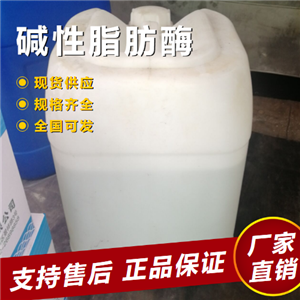  支持订购 碱性脂肪酶 清洁剂织物去垢剂 9001-62-1 