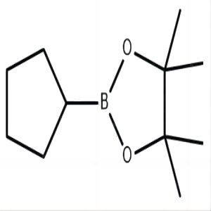 环戊基硼酸频呢醇酯,2-cyclopentyl-4,4,5,5-tetraMethyl-1,3,2-dioxaborolane