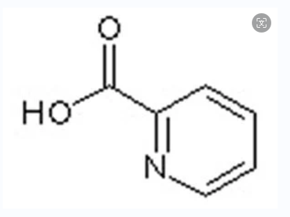 2-哌啶甲酸,Piperidine-2-carboxylic acid