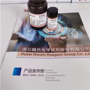 索瑪魯肽,Semaglutide