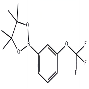 3-(三氟甲氧基)苯硼酸频哪醇酯,3-(TRIFLUOROMETHOXY)PHENYLBORONIC ACID, PINACOL ESTER